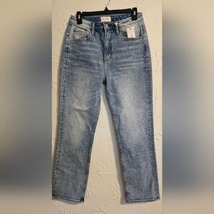 Driftwood Stella Eastwood Silver And Turquoise  Studded Straight Leg Jeans